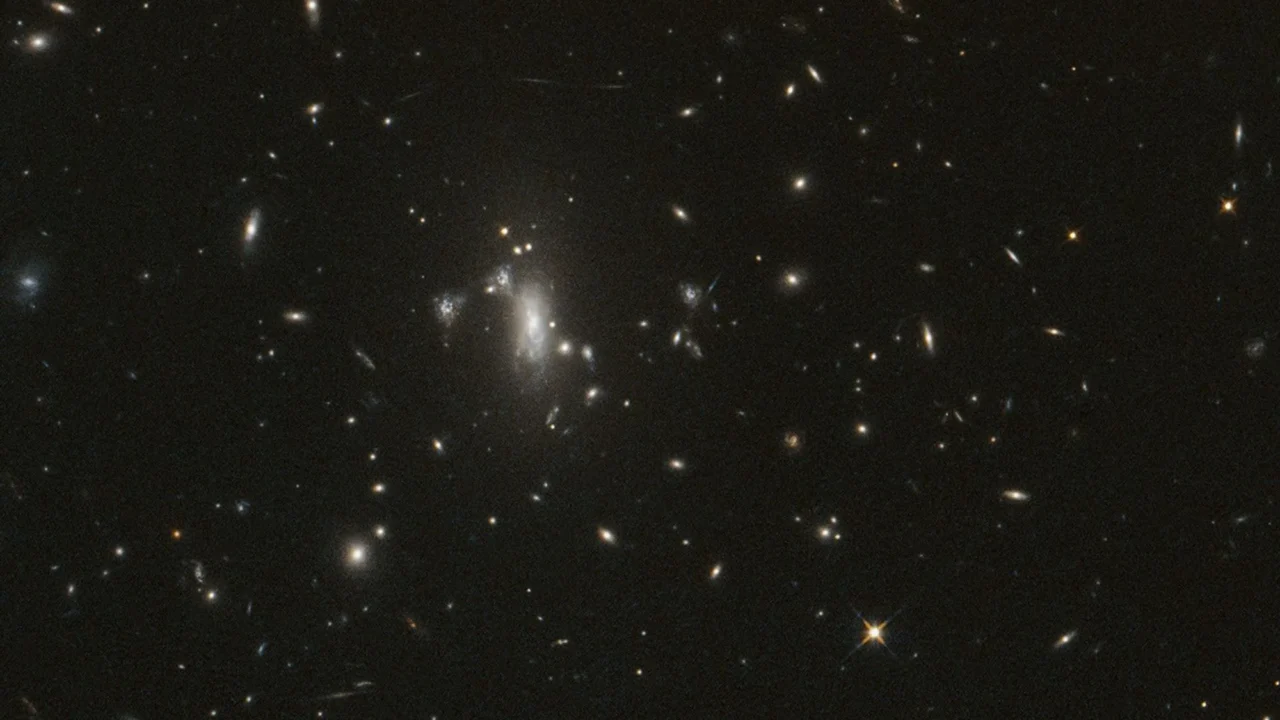 Uma imagem do Telescópio Espacial Hubble da NASA do aglomerado de galáxias MACS J0417 faz parte de observações repetidas para monitorar o reaparecimento da supernova Athena, o que pode ajudar astrônomos a medir a taxa de expansão do universo.