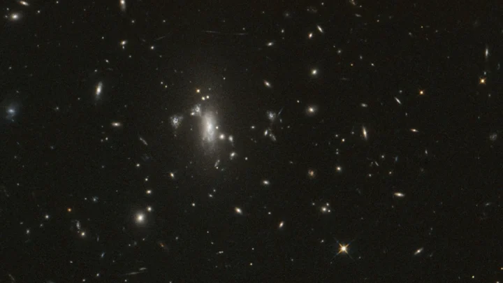 Uma imagem do Telescópio Espacial Hubble da NASA do aglomerado de galáxias MACS J0417 faz parte de observações repetidas para monitorar o reaparecimento da supernova Athena, o que pode ajudar astrônomos a medir a taxa de expansão do universo.