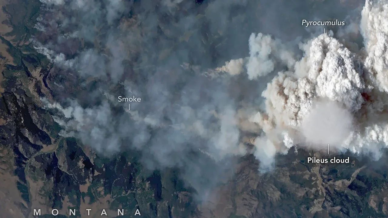 Imagem aérea em cores naturais de um incêndio florestal em terreno montanhoso. Uma fumaça espessa, cinza e marrom, espalha-se por grande parte da paisagem, enquanto uma imponente nuvem branca de pirocúmulo se ergue à direita. Uma nuvem pileus lisa e fina paira logo abaixo da principal nuvem