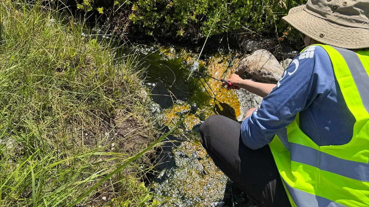 A autora principal Beryl Rappaport coletando amostras de Incendiamoeba cascadensis
