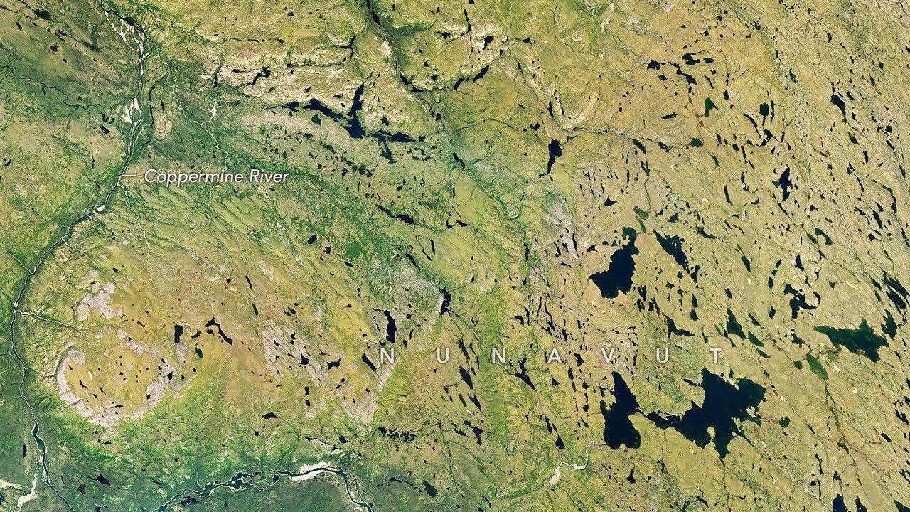 Um rio serpenteia por uma paisagem de tundra majoritariamente verde no verão, pontilhada por numerosos lagos.