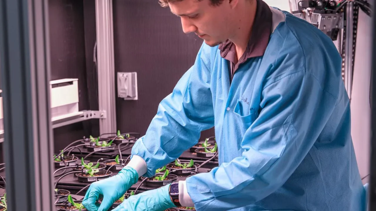 A cientista de horticultura Blake Costine ajusta sensores de umidade para o projeto de Imagem Avançada de Plantas no Centro Espacial Kennedy da NASA em 17 de abril de 2023. Neste projeto, câmeras hiperespectrais são usadas para avaliar a saúde das plantas. A atividade ocorre dentro da Área de