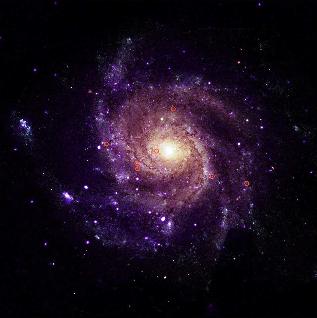 M101 com círculos ilustrados destacando sete dos objetos recém-descobertos.