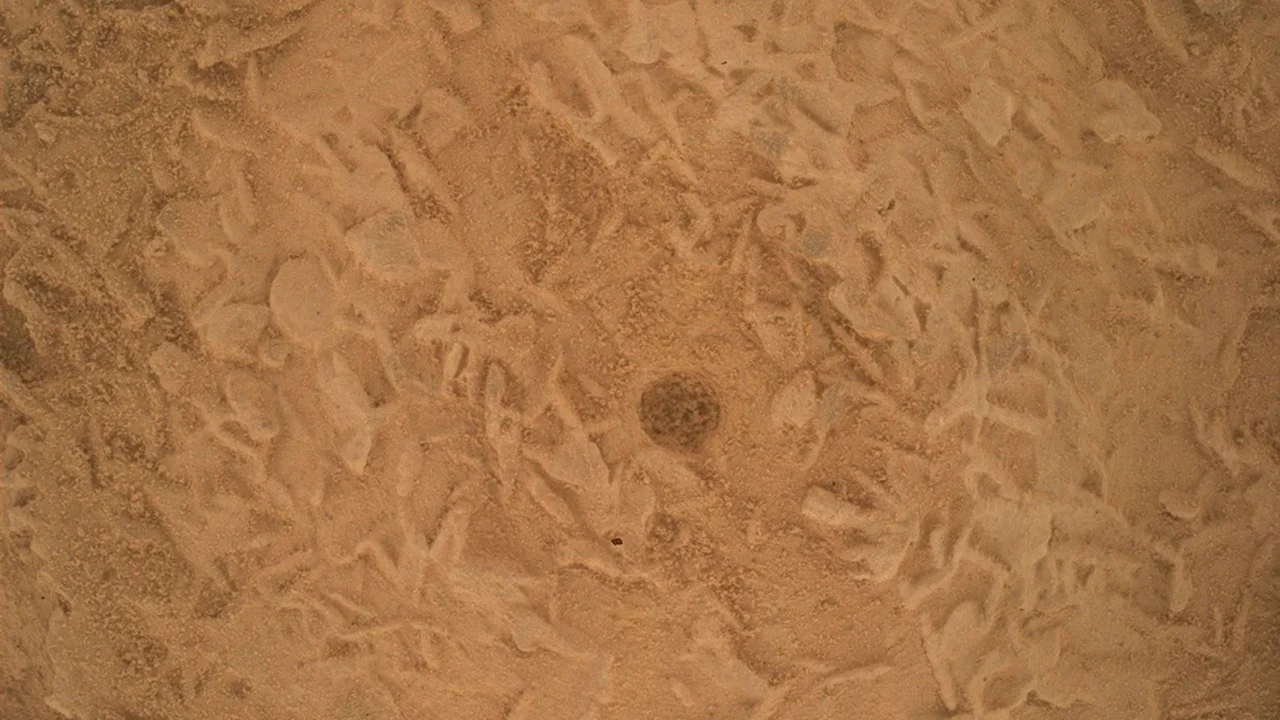 O rover Curiosity da NASA gerou esta imagem em close de um ponto escovado no leito rochoso (nomeado informalmente de “Salar de Vacas”), mostrando um amontoado de feições com formato aproximadamente de disco, além de uma reentrância gerada pela escovagem feita pela Ferramenta de Remoção de Poeira