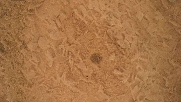 O rover Curiosity da NASA gerou esta imagem em close de um ponto escovado no leito rochoso (nomeado informalmente de “Salar de Vacas”), mostrando um amontoado de feições com formato aproximadamente de disco, além de uma reentrância gerada pela escovagem feita pela Ferramenta de Remoção de Poeira