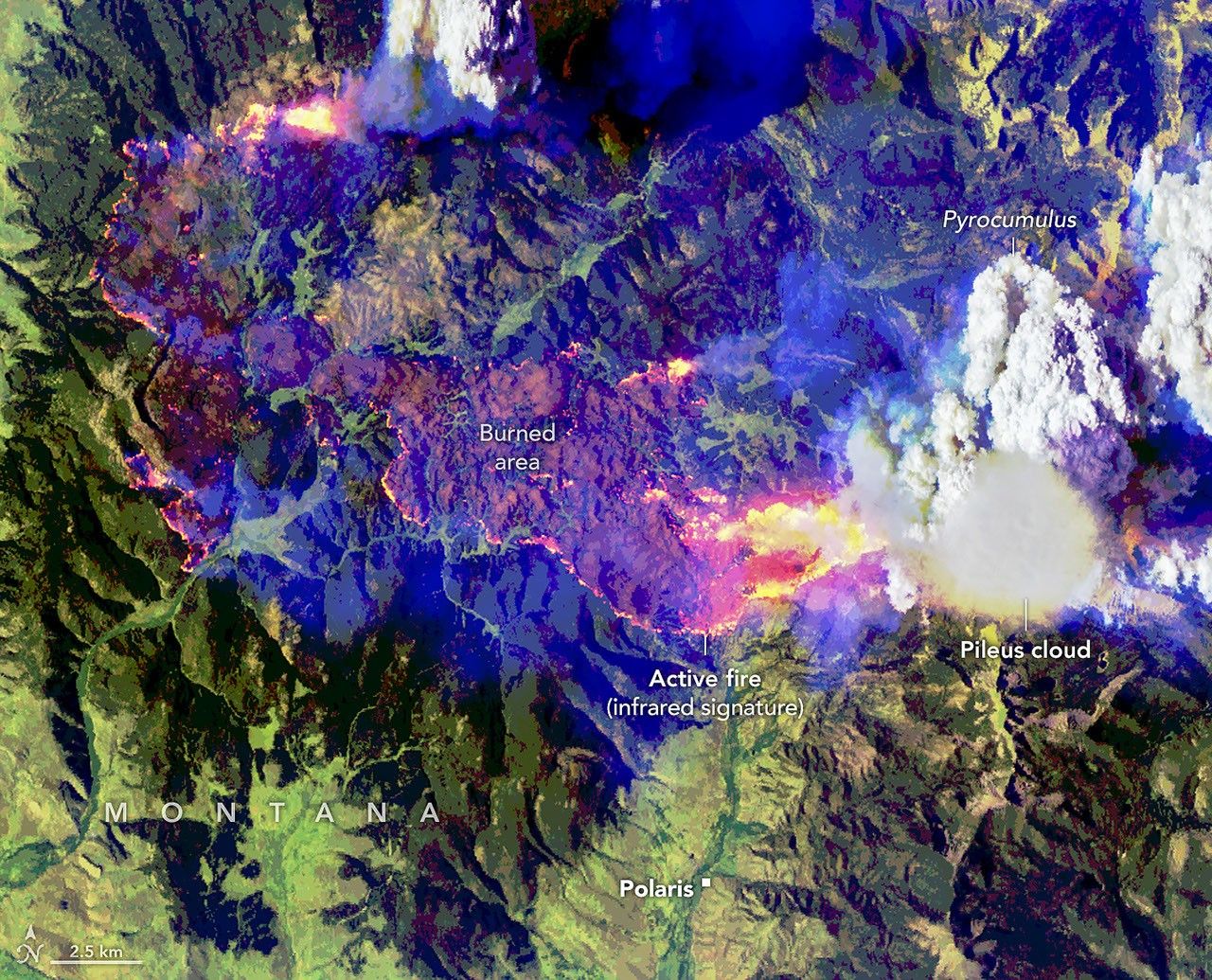 Imagem aérea em cores falsas do mesmo incêndio florestal. As frentes de fogo ativas aparecem em rosa vivo, magenta e amarelo ao redor de uma grande área queimada de cor marrom. Uma imponente nuvem branca de pirocúmulo se ergue do incêndio à direita. Uma nuvem pileus lisa e fina obscurece parte de seu topo.