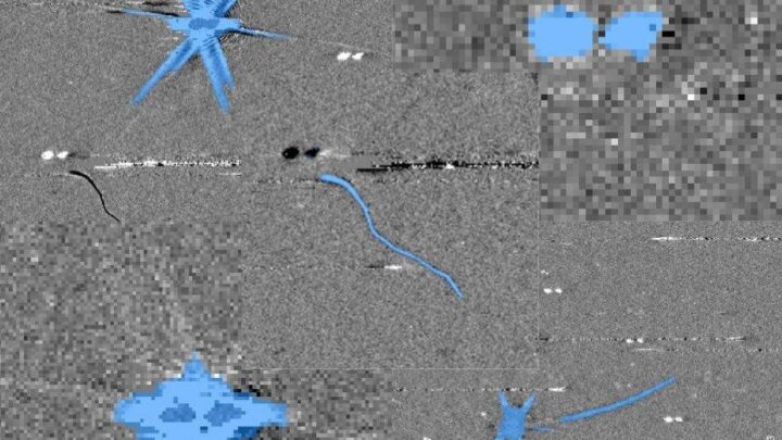 Exemplos de como os artefatos podem se parecer em dados de telescópios espaciais. As áreas em azul indicam pixels que o modelo de IA considera inválidos. Os voluntários do Artifact InSPECtor aprenderão a verificar se a máquina acertou.