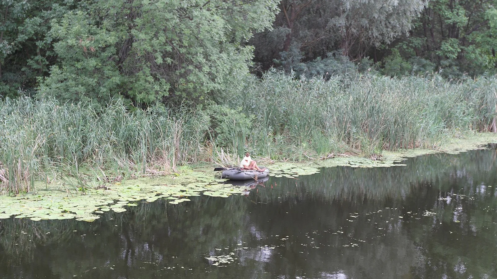 Margem de um braço de rio com juncos, plantas aquáticas e árvores, com um pequeno barco na água, na Rua Naberezhna, em Oleshky, em 2012, antes da guerra (imagem de arquivo)