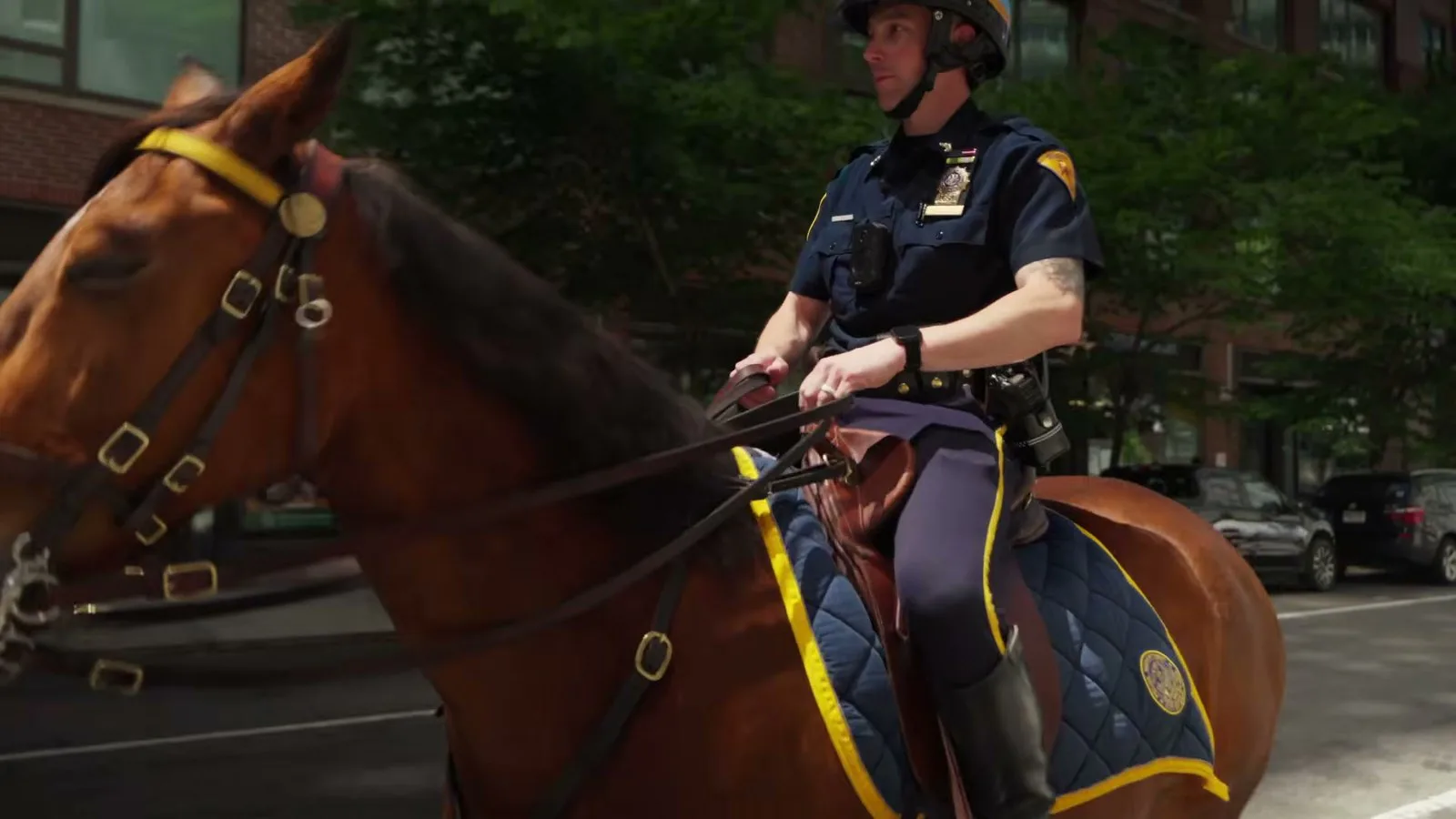 O cavalo Kelly, de pelagem castanha, com sela e rédeas da polícia montada, numa rua de Nova York