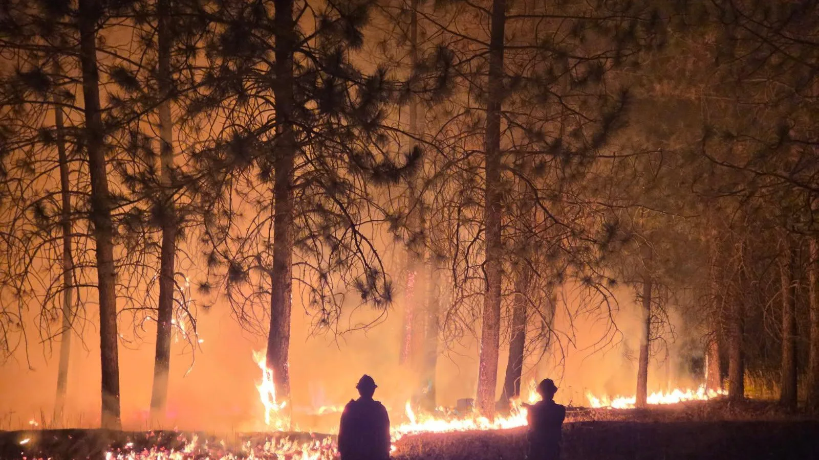 Dois bombeiros em silhueta diante de uma faixa de chamas entre os pinheiros do incêndio Autumn Lane, na região de Spokane, à noite