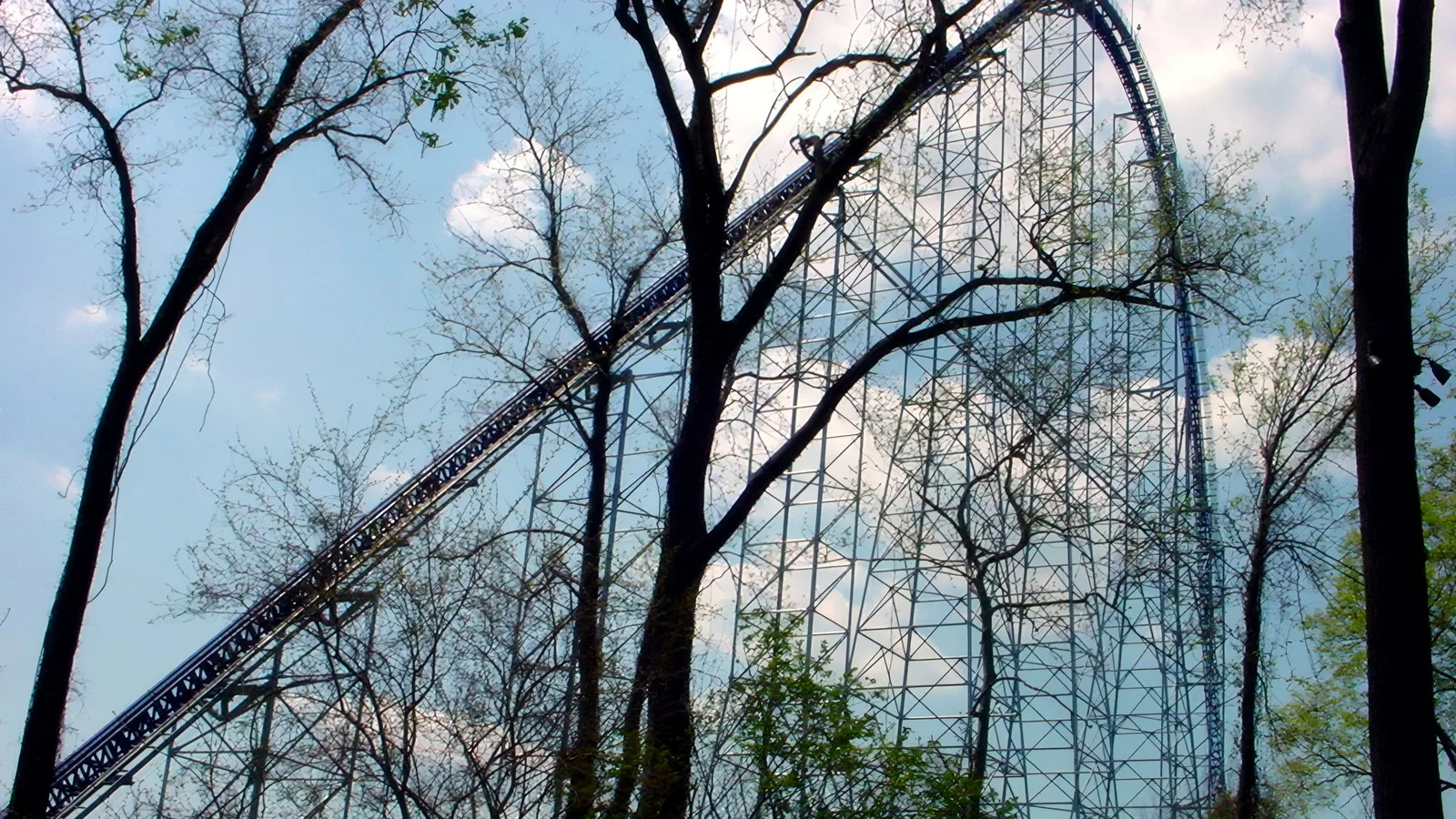 A subida de 94 metros da Millennium Force vista por entre árvores, com a estrutura metálica de sustentação
