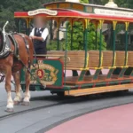 Foto de arquivo de um cavalo castanho de crina clara puxando o bonde de tração animal da Main Street, U.S.A., no Magic Kingdom, em Orlando, com o rosto do condutor desfocado