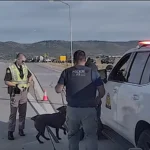 O policial Wayne Henderson, de colete, ao lado do cão Bruno, um labrador chocolate, entre viaturas da Patrulha Rodoviária de Utah no viaduto interditado