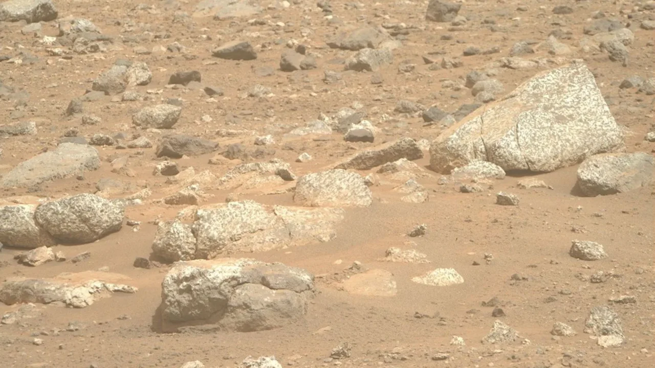 O rover Perseverance da NASA capturou esta imagem de alguns matacões de tom claro espalhados por uma encosta de uma região chamada “Lac de Charmes,” além da borda oeste da cratera Jezero. O Perseverance capturou a imagem usando sua câmera Mastcam-Z direita em 30 de agosto de 2026 (Sol 1965, ou dia