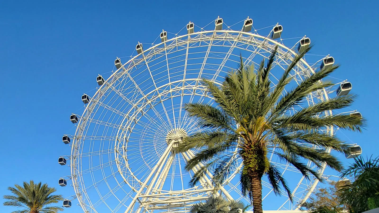 Foto de arquivo de fevereiro de 2023 da roda-gigante do ICON Park, hoje chamada Orlando Eye, atrás de palmeiras, em Orlando