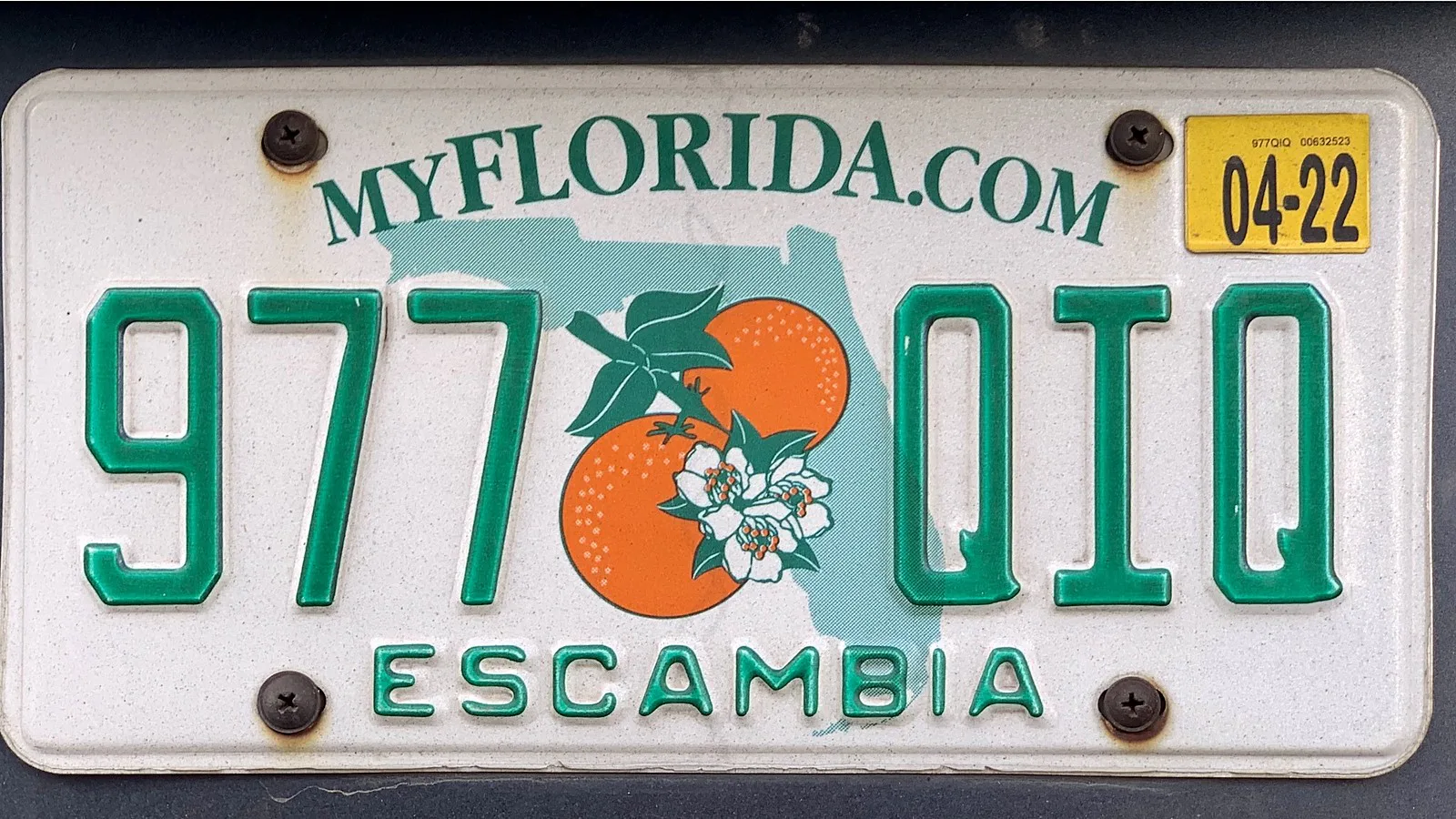 Placa de carro da Flórida, modelo com laranjas, do condado de Escambia, com o selo de validade no canto superior direito