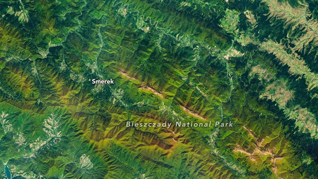 Uma imagem de satélite de montanhas no sudeste da Polônia no outono. Floresta verde e laranja cobre cristas paralelas que atravessam a cena na diagonal, e pastagens amareladas se estendem ao longo dos picos mais altos.