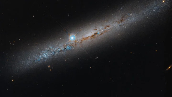 Esta imagem do Telescópio Espacial Hubble da NASA mostra a galáxia espiral intermediária NGC 1827, vista de perfil. Suas faixas de poeira castanho-avermelhadas atravessam a galáxia em todo o seu comprimento. Procure galáxias distantes que pontilham o fundo negro, enquanto um punhado de estrelas em