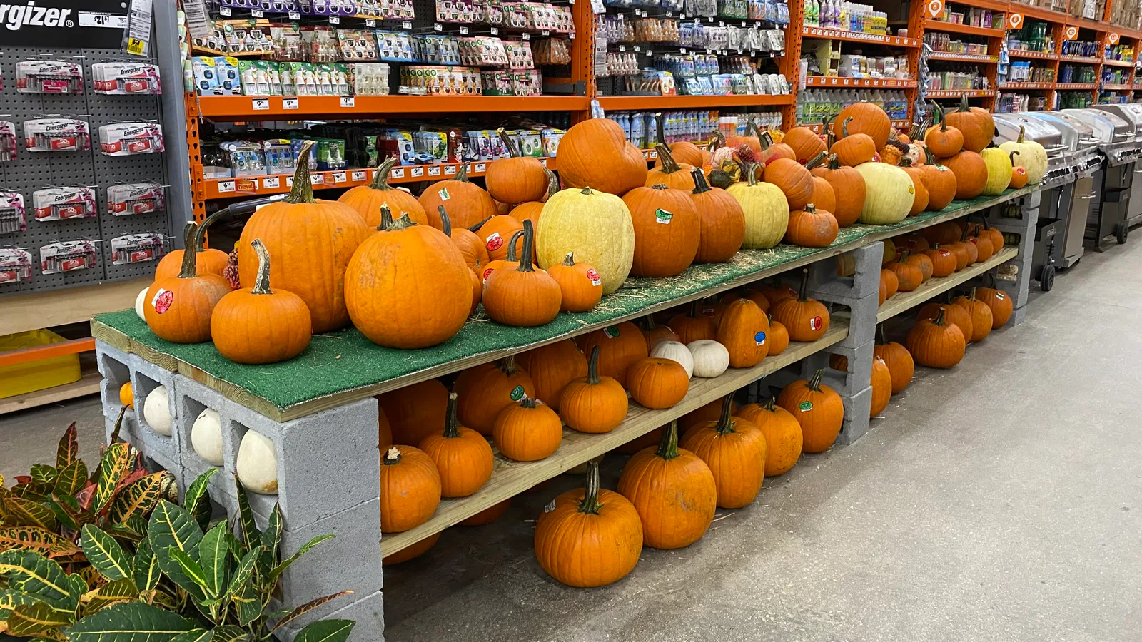 Corredor de uma loja da Home Depot em Miami com abóboras de Halloween à venda, em 2022 (imagem ilustrativa)