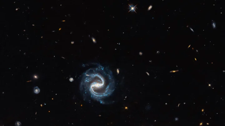 Uma galáxia espiral sinuosa (centro) aparece no mesmo campo de visão que uma vívida lente gravitacional (canto direito) nesta imagem do Hubble. A lente é composta por uma galáxia elíptica avermelhada em primeiro plano e pelos arcos azuis de uma galáxia ao fundo, ampliada.