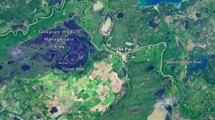 Uma imagem de satélite capturada no verão mostra campos agrícolas em um mosaico de verde e marrom, cercados por áreas úmidas verdes pontilhadas de manchas escuras de água aberta.