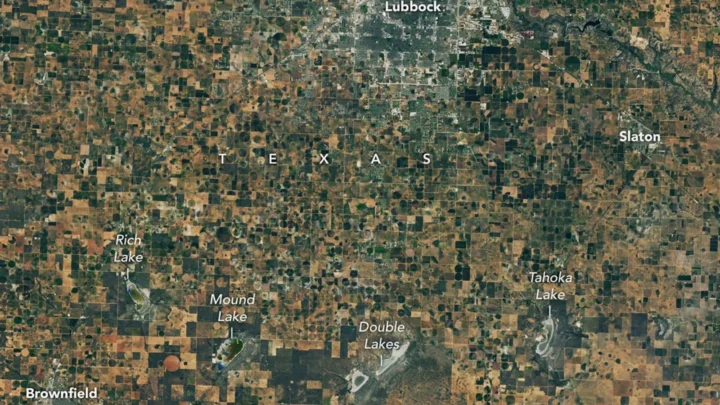 Uma imagem de satélite de terras agrícolas ao redor de Lubbock, Texas, em 22 de setembro de 2025, apresenta um mosaico de campos agrícolas verdes e marrons e vários lagos playa com quantidades variadas de água.