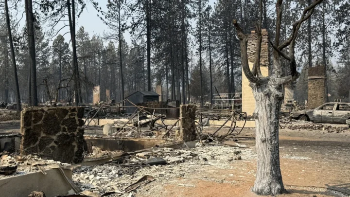 Bairro destruído dentro da área do incêndio Old Trails, em Spokane, com chaminés de pedra de pé, uma árvore carbonizada e um carro queimado entre os escombros das casas