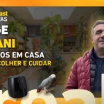 Pássaro em casa: Jorge Fanani, da Love Birds, ensina a escolher e cuidar (thumb do corte do Breaking Fast)