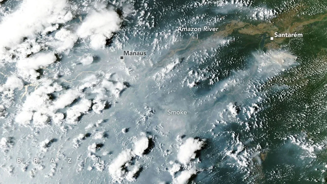 Fumaça cinzenta espessa obscurece parcialmente o rio Amazonas e a floresta ao redor, perto das cidades de Manaus e Santarém. Nuvens brancas e fofas se elevam acima da fumaça no lado esquerdo da imagem.