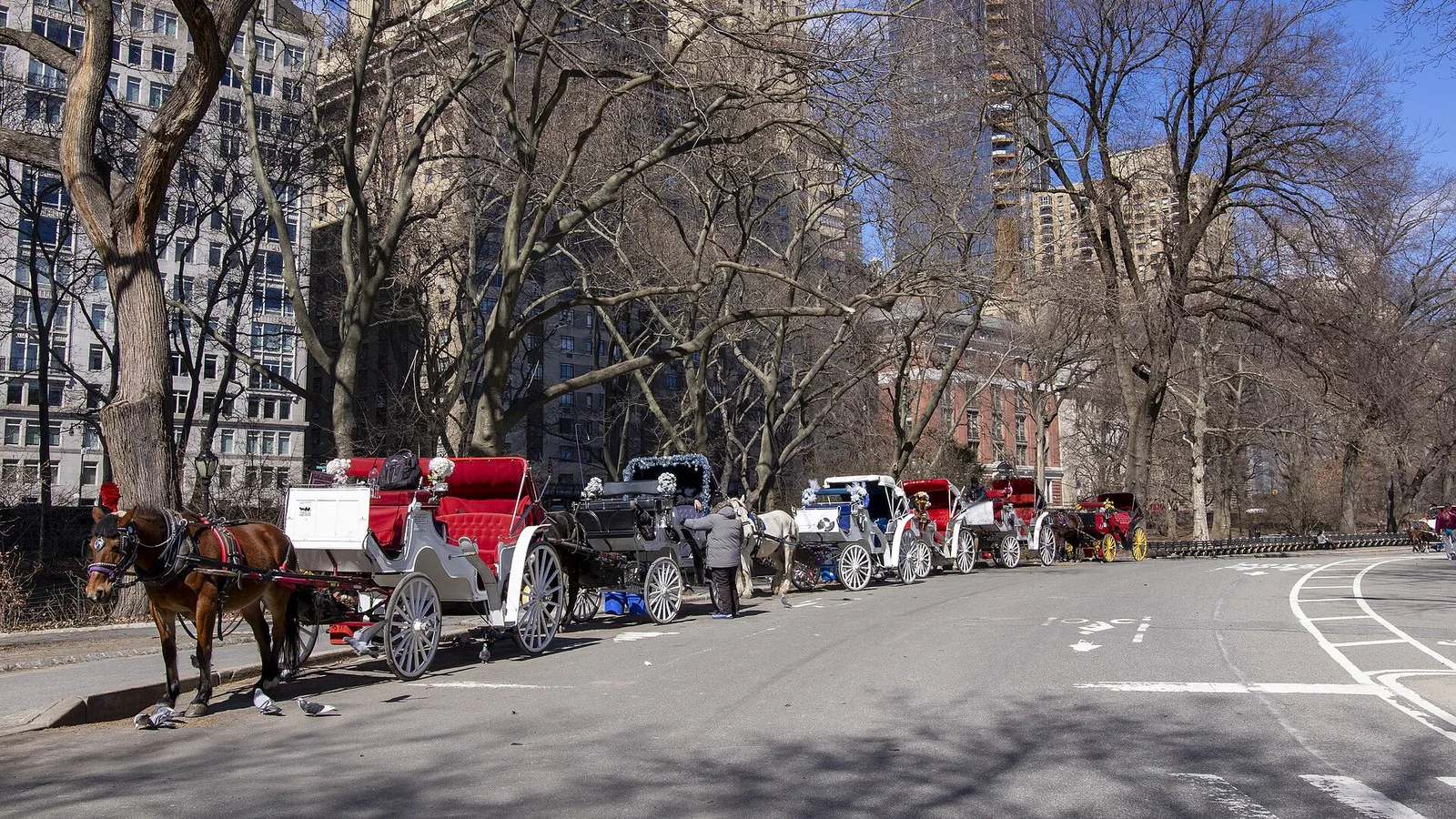 Fila de charretes estacionadas à espera de passageiros na borda do Central Park, em março de 2025