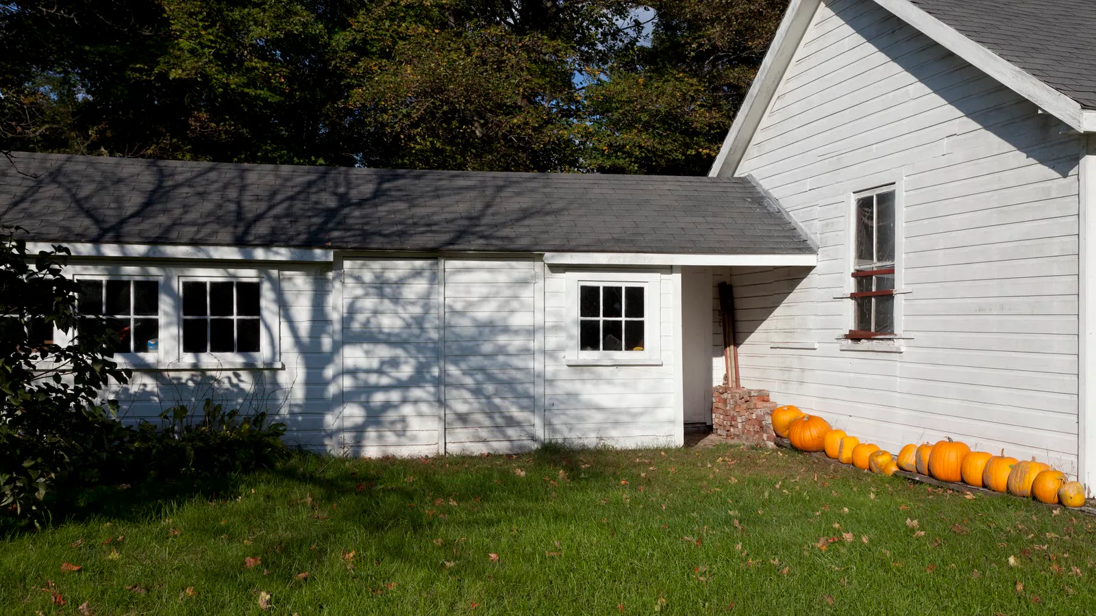 Fileira de abóboras encostada na parede de uma casa branca de madeira em Suffield, em Connecticut
