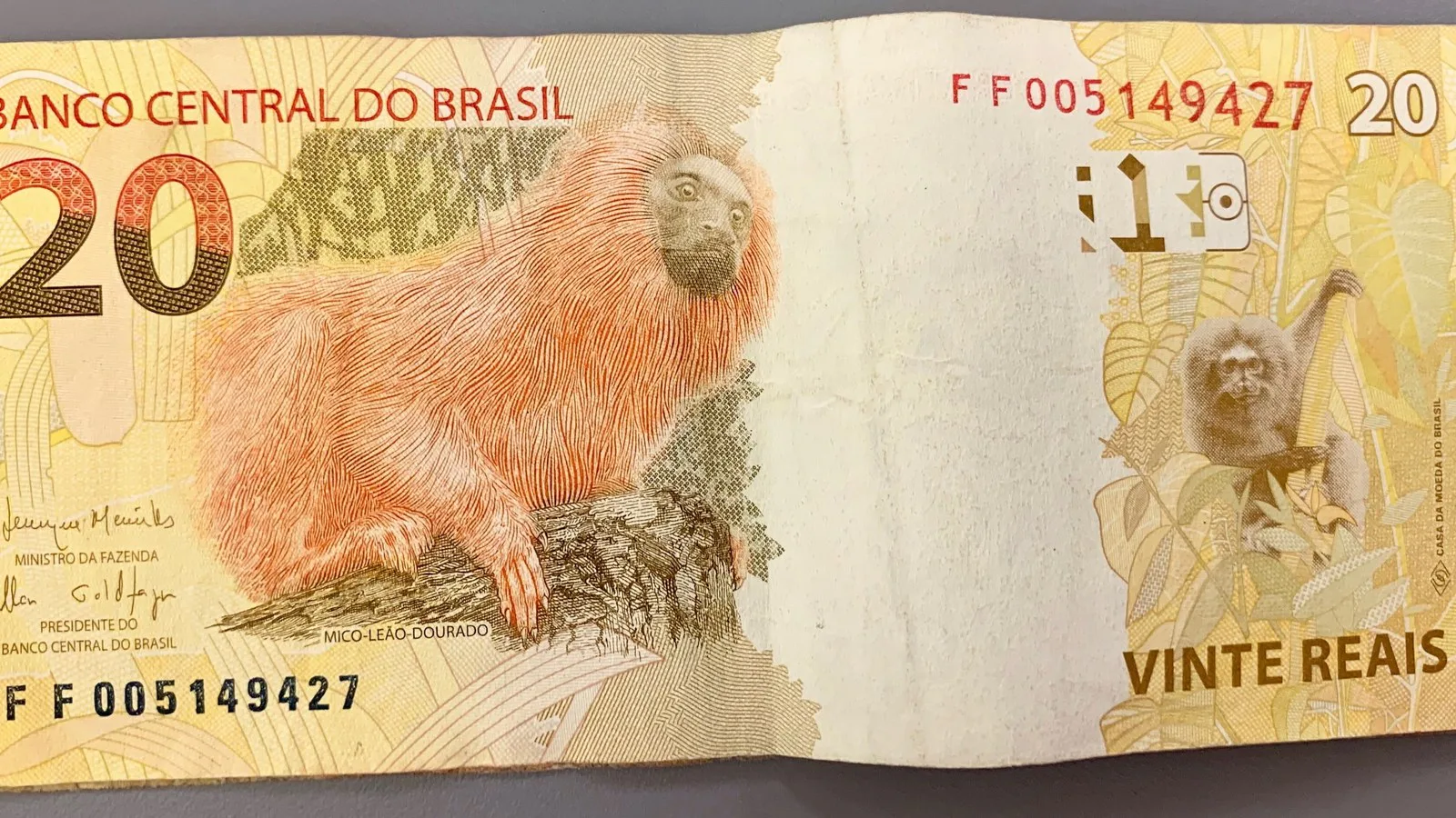 Cédulas de 20 reais, com o mico-leão-dourado, espalhadas sobre uma mesa