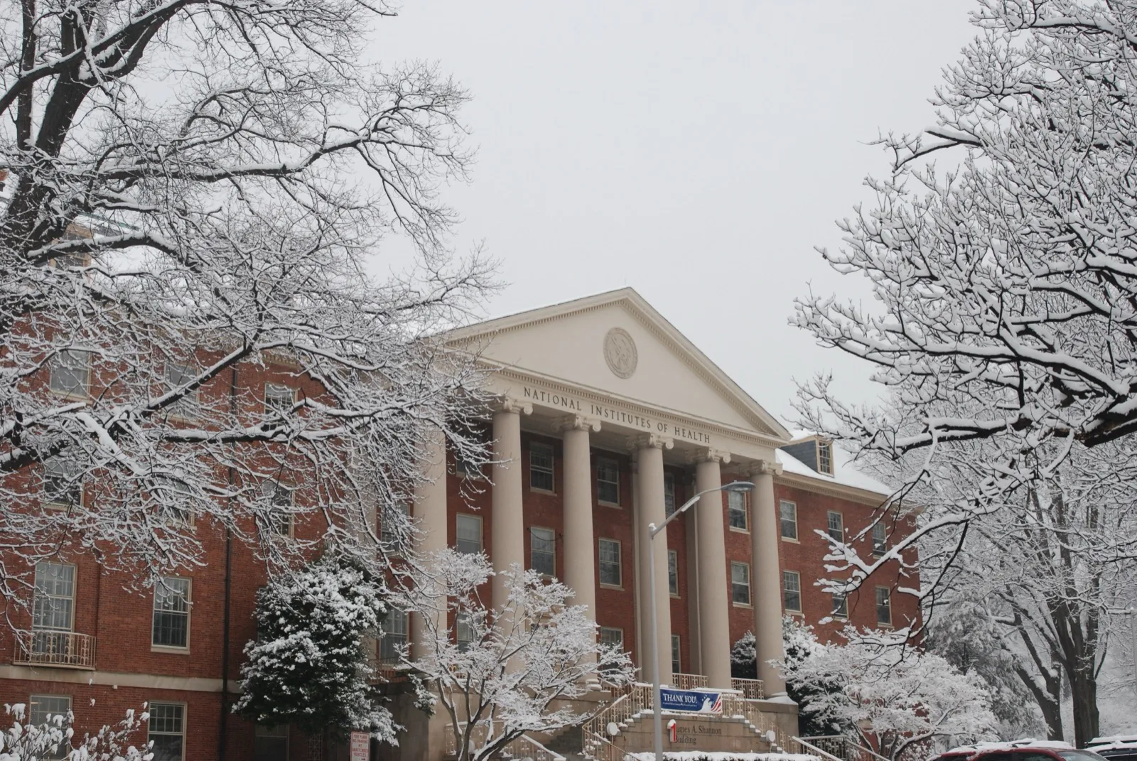 Prédio 1 dos Institutos Nacionais de Saúde (NIH), com colunas e a inscrição National Institutes of Health, entre árvores cobertas de neve, em Bethesda, Maryland