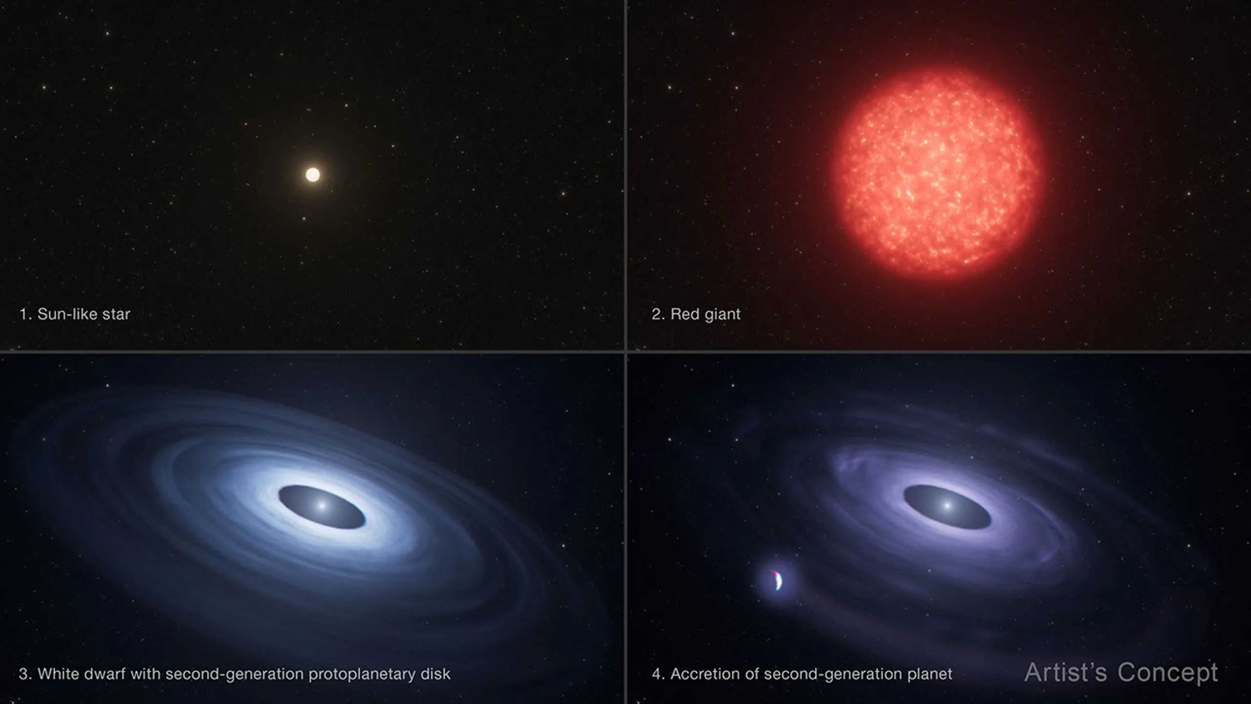 Este conceito artístico, sem escala, imagina a evolução de uma estrela semelhante ao Sol (1) em uma gigante vermelha envelhecida (2) e depois em uma anã branca pequena e brilhante cercada por um disco de suas camadas externas expelidas (3), a partir do qual se forma um planeta de segunda geração (4).